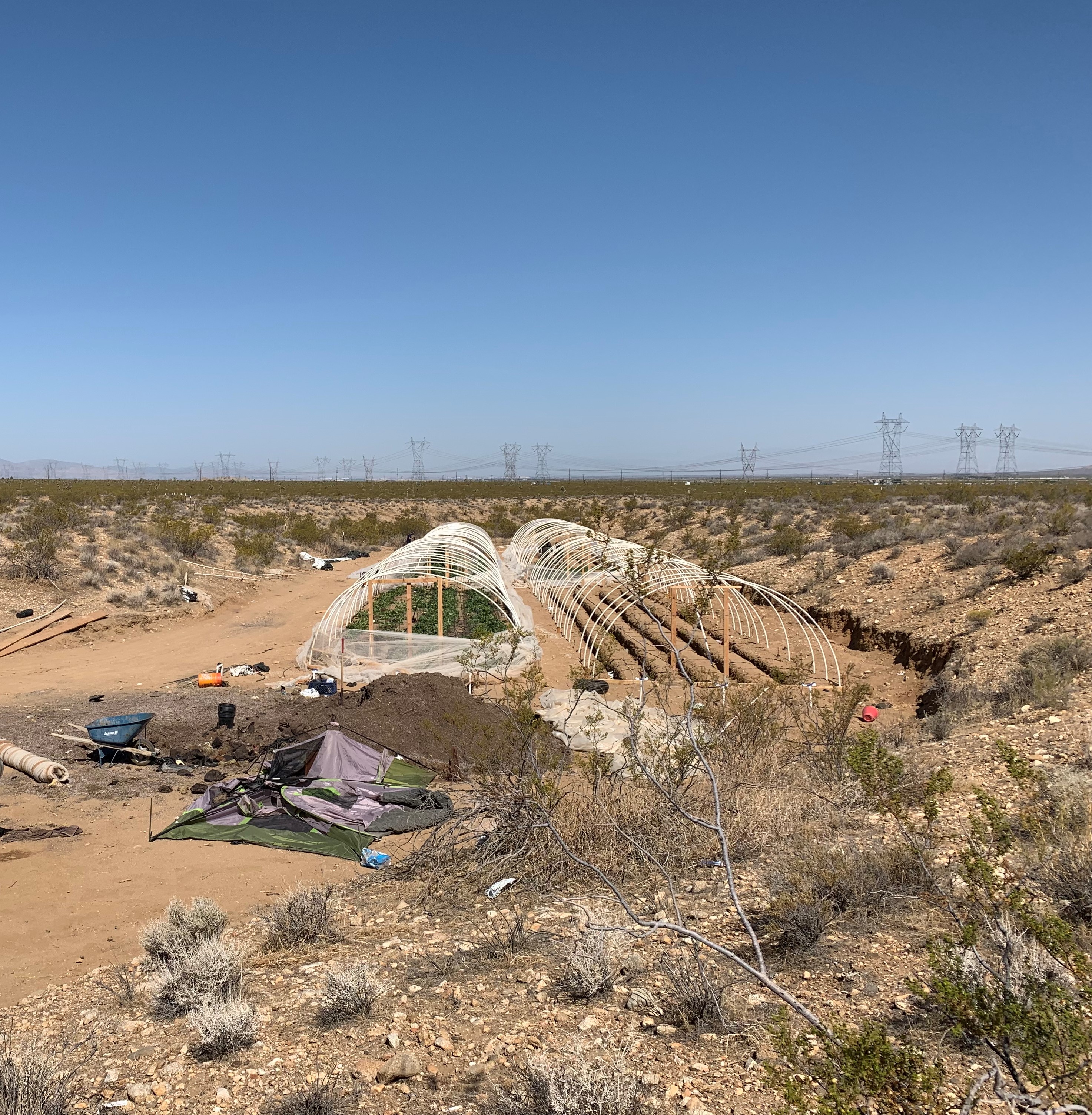 Illegal grow operation in Southern California